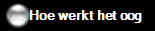 Hoe werkt het oog